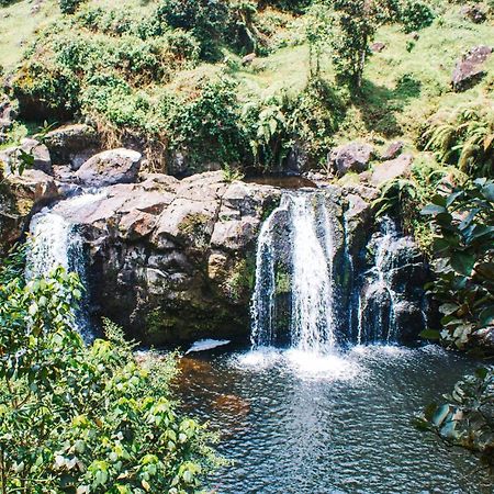 Mai Kilimanjaro Home Stay Marangu Экстерьер фото