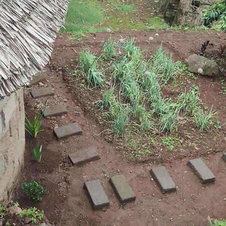 Mai Kilimanjaro Home Stay Marangu Экстерьер фото