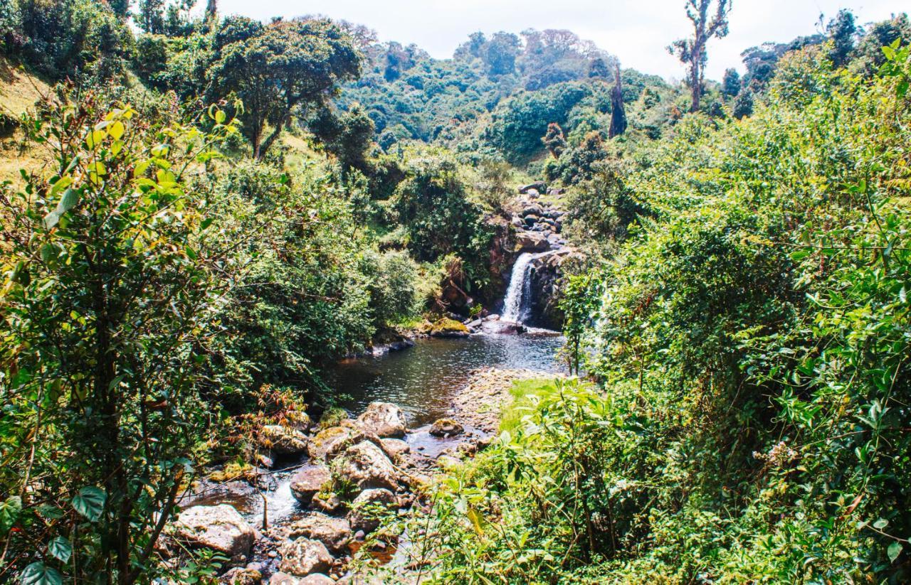Mai Kilimanjaro Home Stay Marangu Экстерьер фото