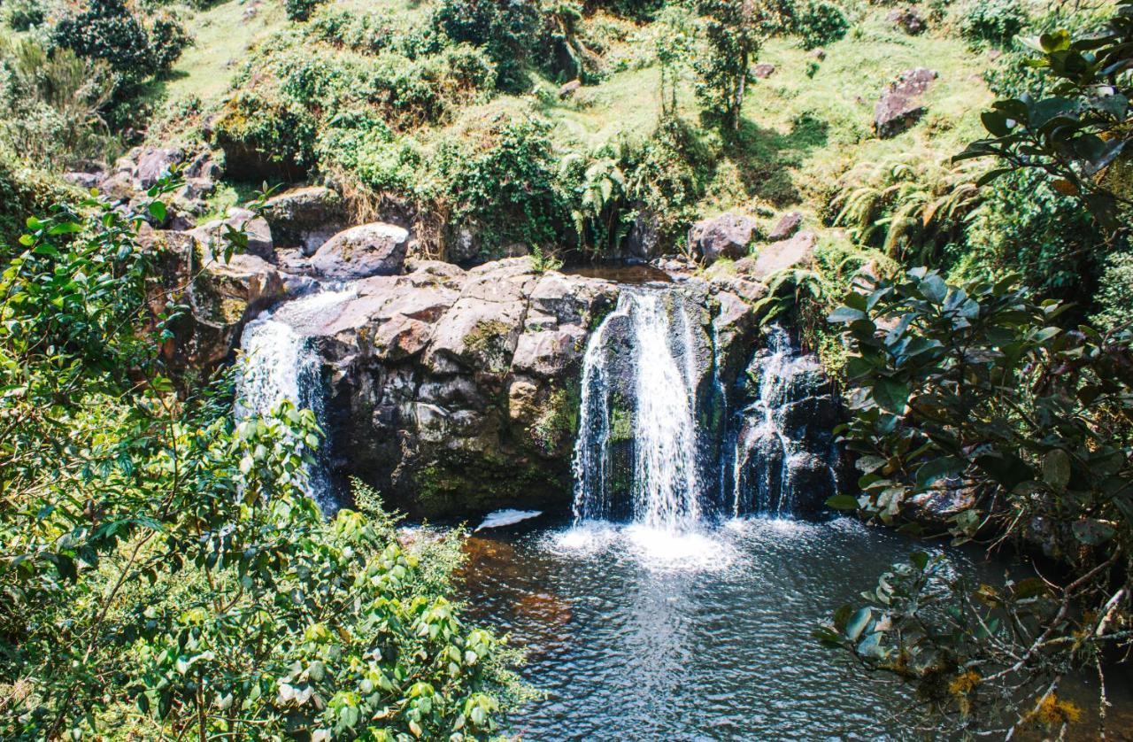 Mai Kilimanjaro Home Stay Marangu Экстерьер фото