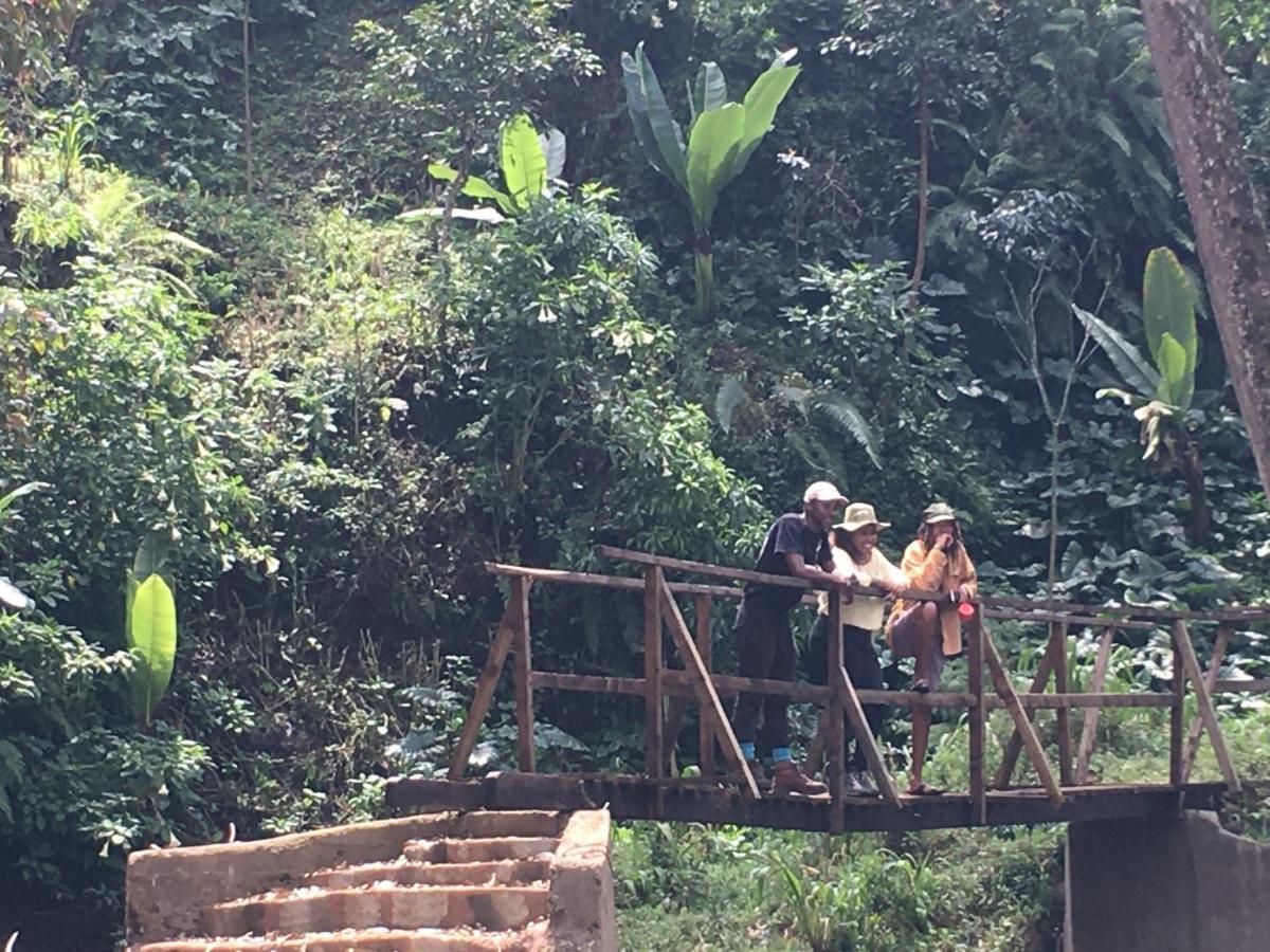 Mai Kilimanjaro Home Stay Marangu Экстерьер фото