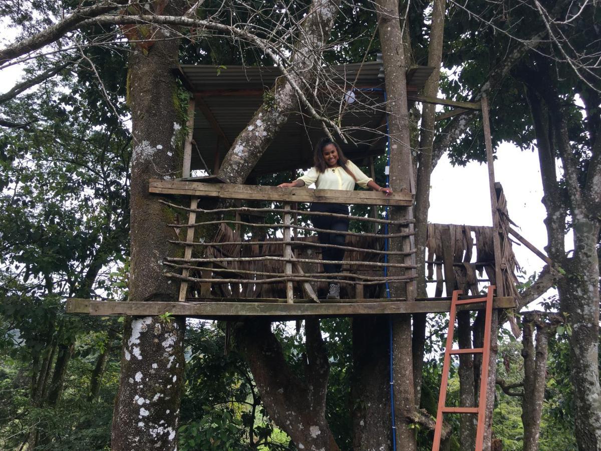 Mai Kilimanjaro Home Stay Marangu Экстерьер фото
