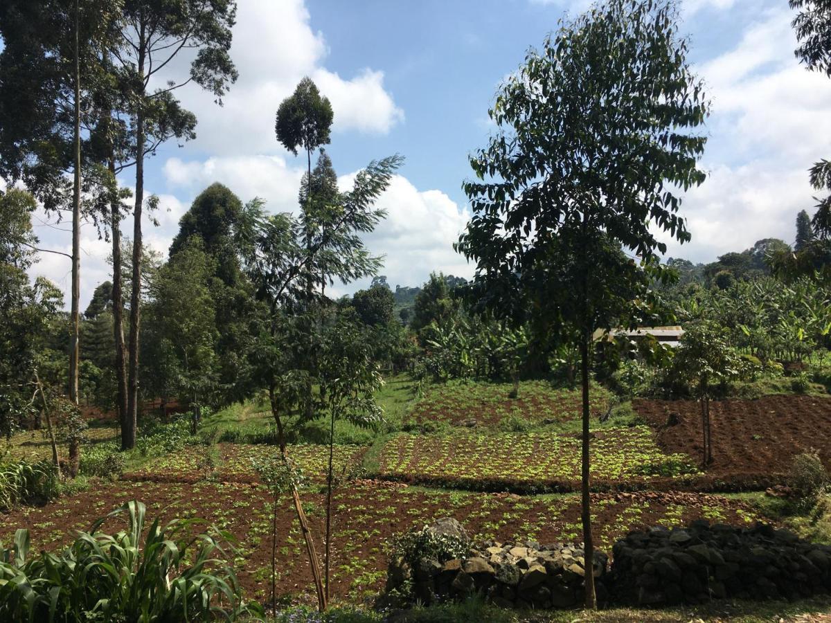 Mai Kilimanjaro Home Stay Marangu Экстерьер фото