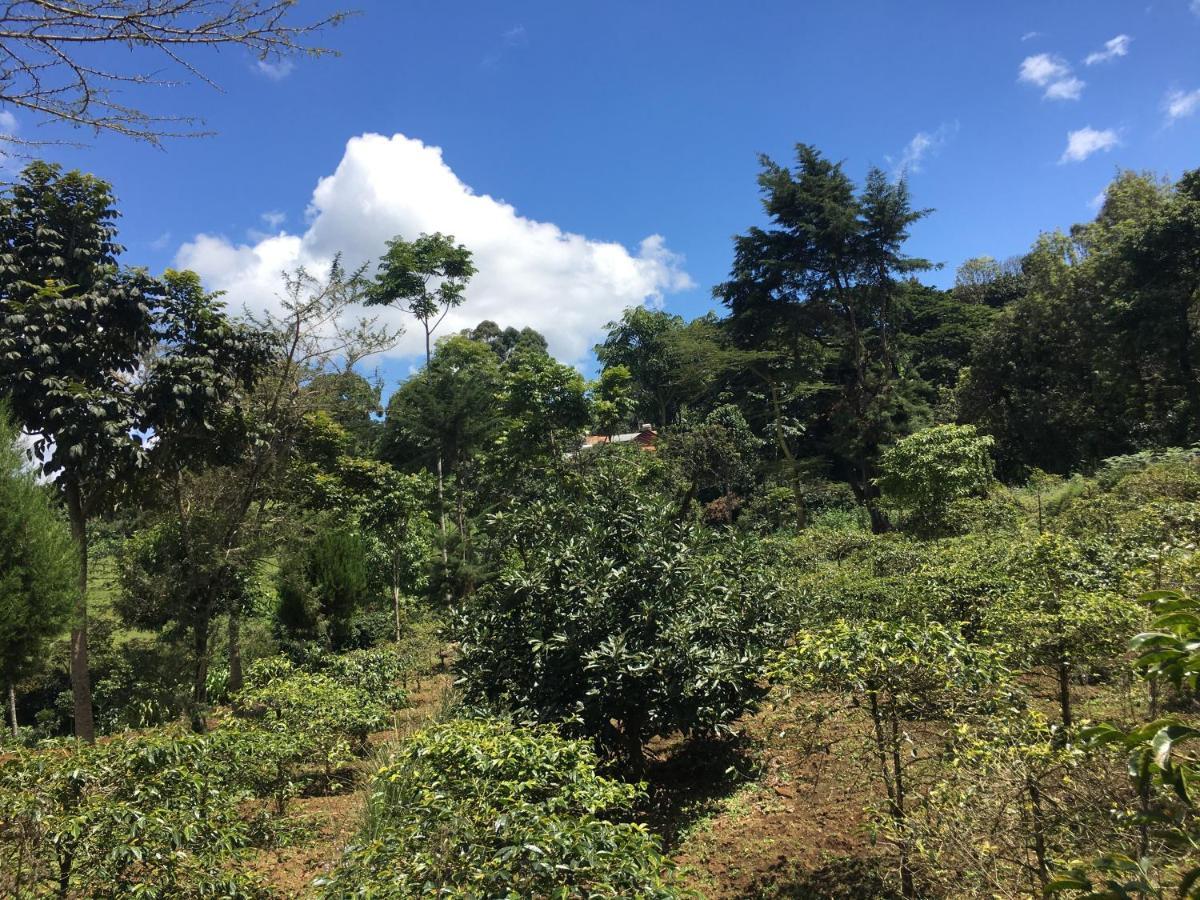 Mai Kilimanjaro Home Stay Marangu Экстерьер фото