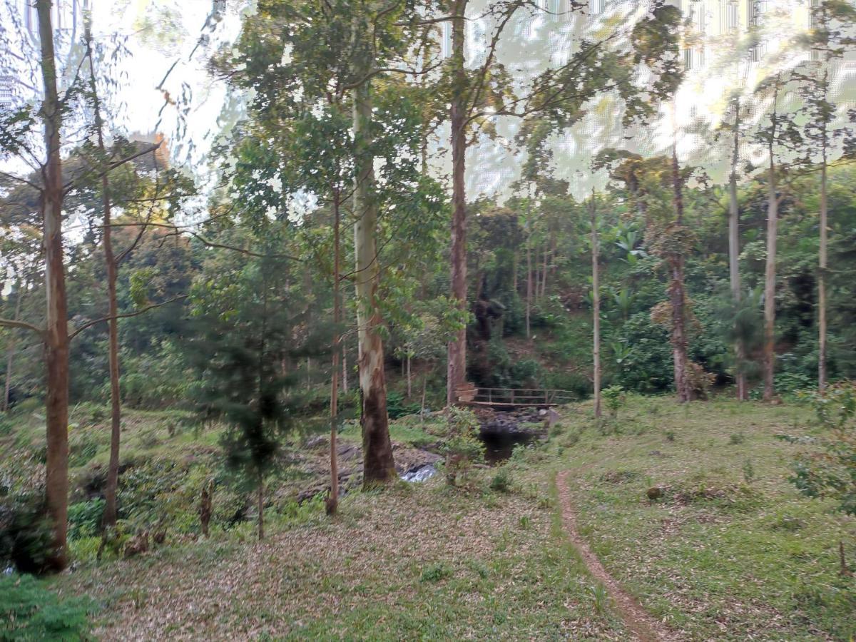 Mai Kilimanjaro Home Stay Marangu Экстерьер фото