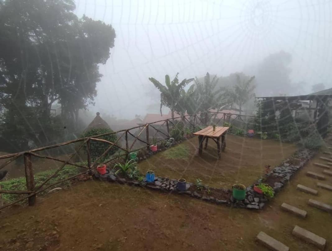Mai Kilimanjaro Home Stay Marangu Экстерьер фото