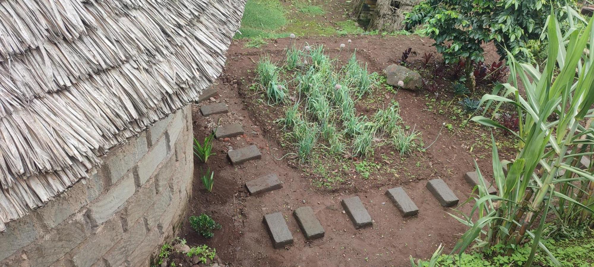 Mai Kilimanjaro Home Stay Marangu Экстерьер фото