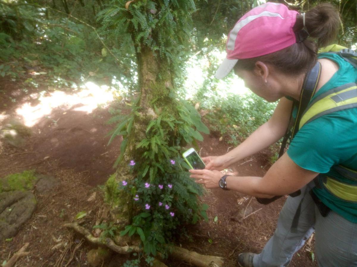 Mai Kilimanjaro Home Stay Marangu Экстерьер фото